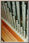 Zungenregister Euphonia 8'