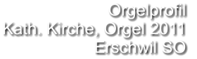 Orgelprofil  Kath. Kirche, Orgel 2011 Erschwil SO