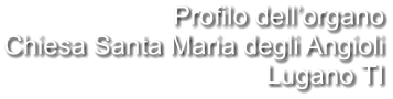 Profilo dell’organo Chiesa Santa Maria degli Angioli Lugano TI
