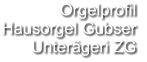 Orgelprofil  Hausorgel Gubser Unterägeri ZG